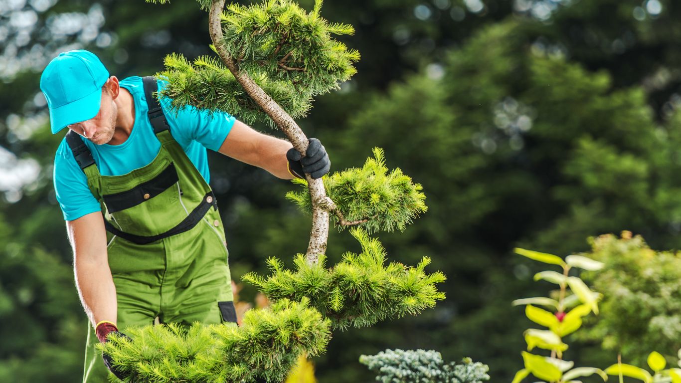 tree maintenance 1